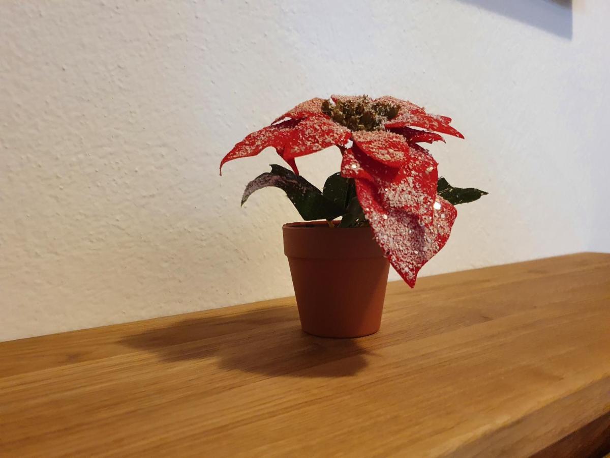 Ferienwohnung Kroell Zell am Ziller Zewnętrze zdjęcie
